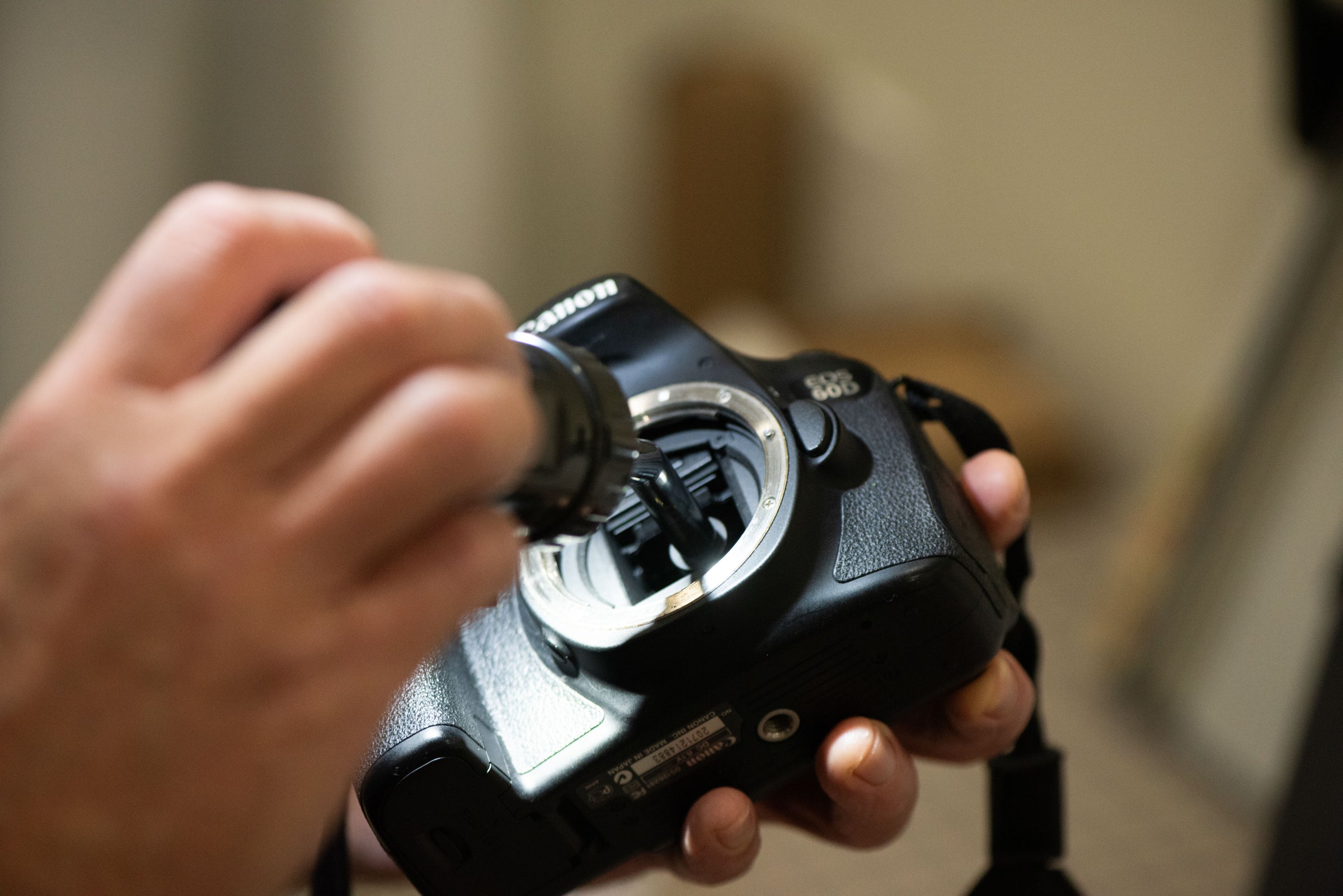 CAMERA CLEANING | Dexter's Camera